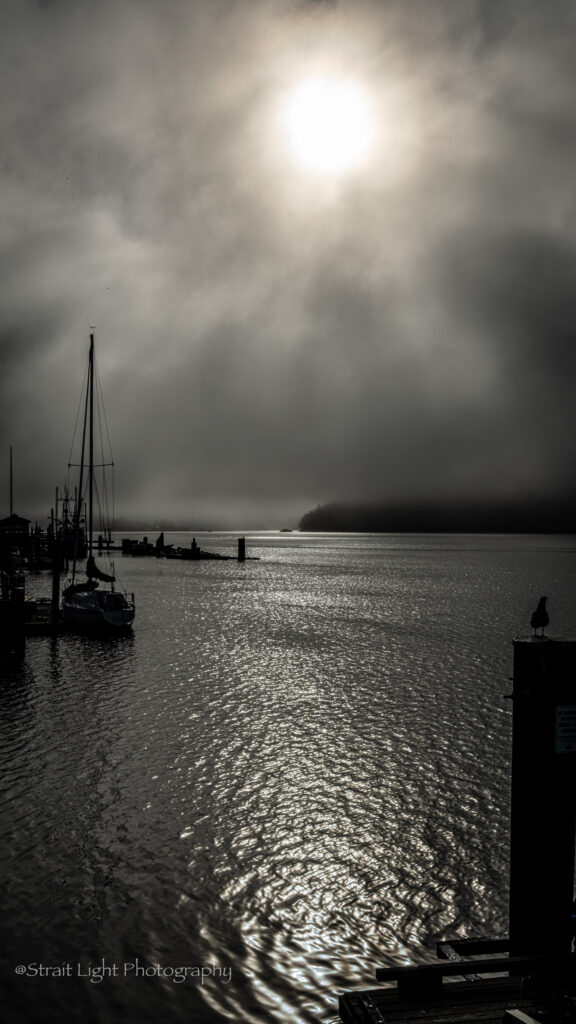 img-09-free-img.jpg harbour fog