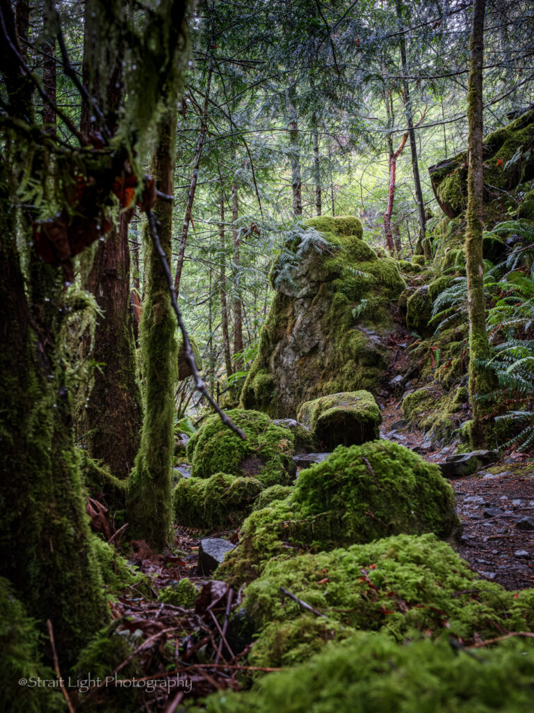 img-07-free-img.jpg mossy rocks 2